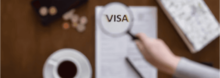 Visa Processing